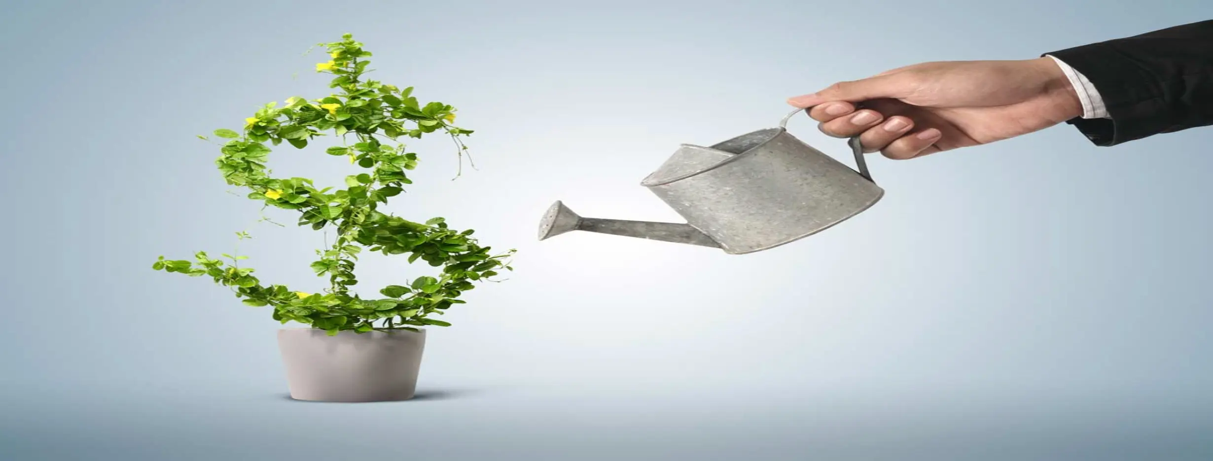 Image for Growing Economy